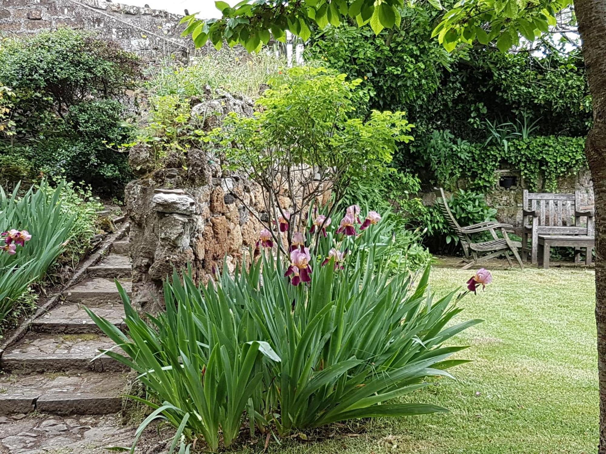 Casa Con Vista Mozzafiato Su Civita Di Bagnoregio Villa Lubriano Exteriör bild